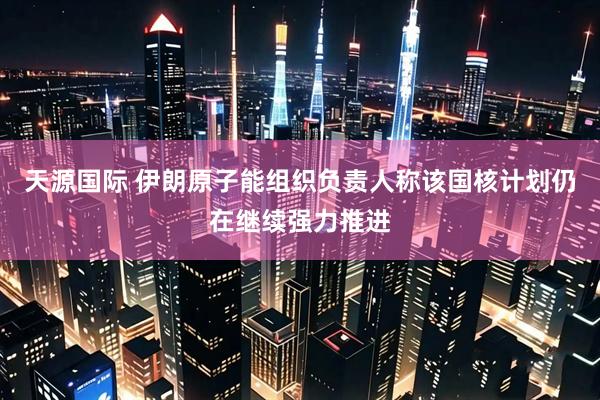 天源国际 伊朗原子能组织负责人称该国核计划仍在继续强力推进